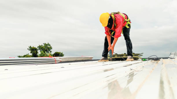 Best Skylight Installation and Repair  in Honeygo, MD